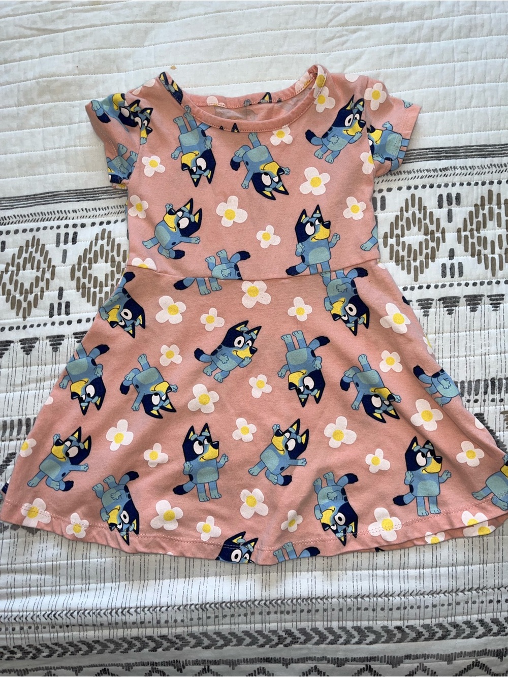 Bluey Pink Floral & Cartoon Kids Dress - 
Size 2T